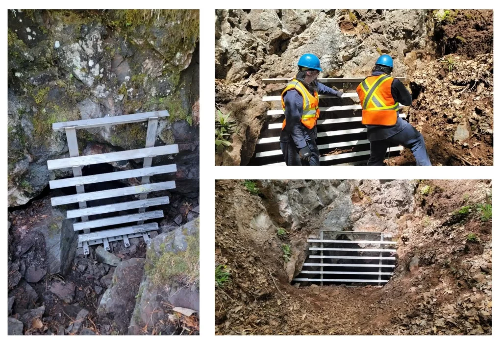 Photo on Google of a cave barrier, which maintains ecological integrity, searched for 'bat gates'